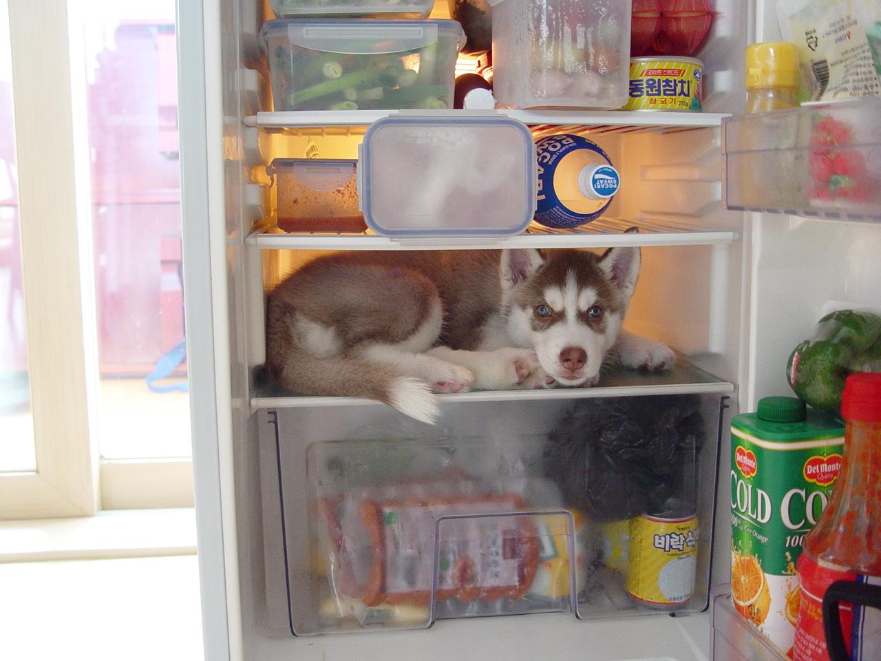 ŬϽø     ֽϴ.